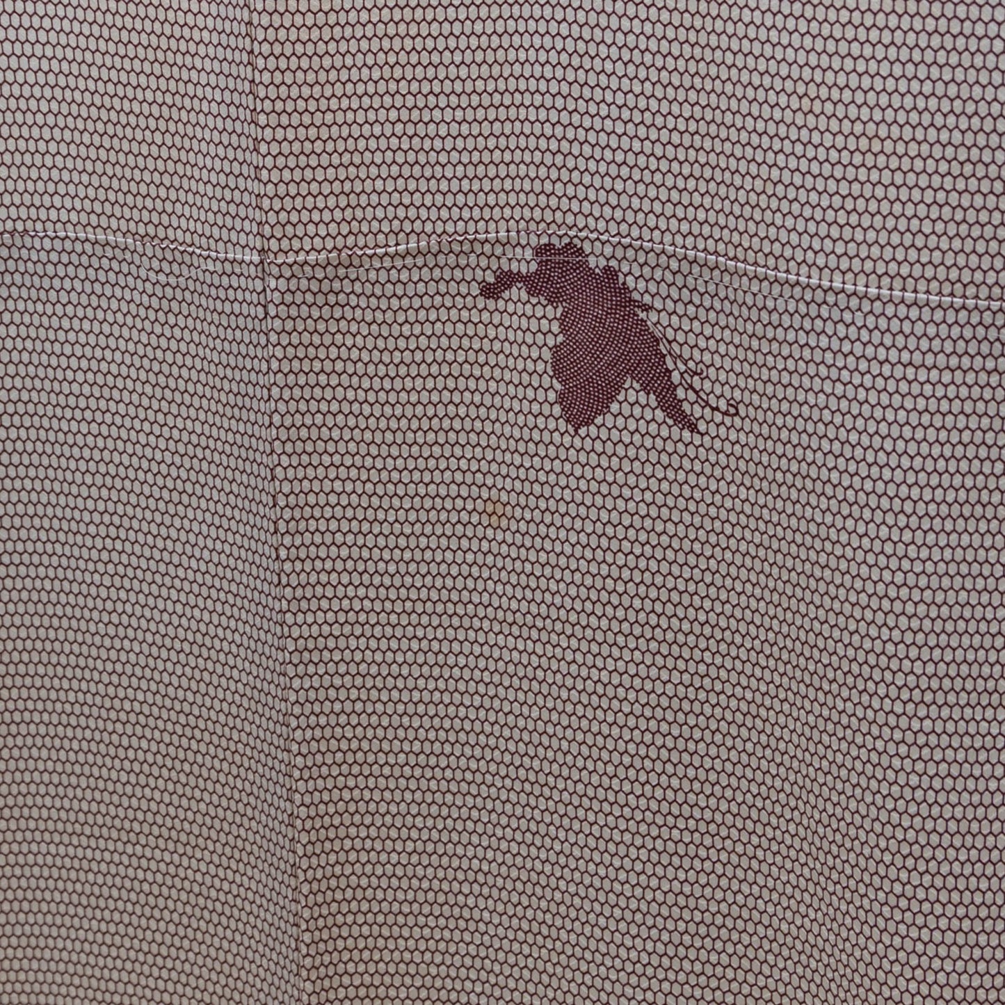 【2/27ライブ配信コーデ】　春の桜コーデ⑦